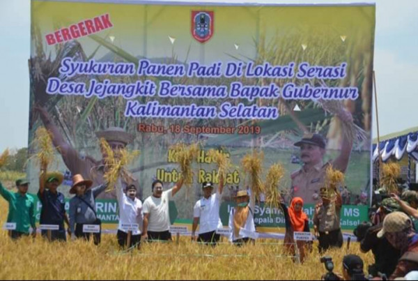 Panen padi bersama bapak gubernur kalsel dan kepala dinas pertanian