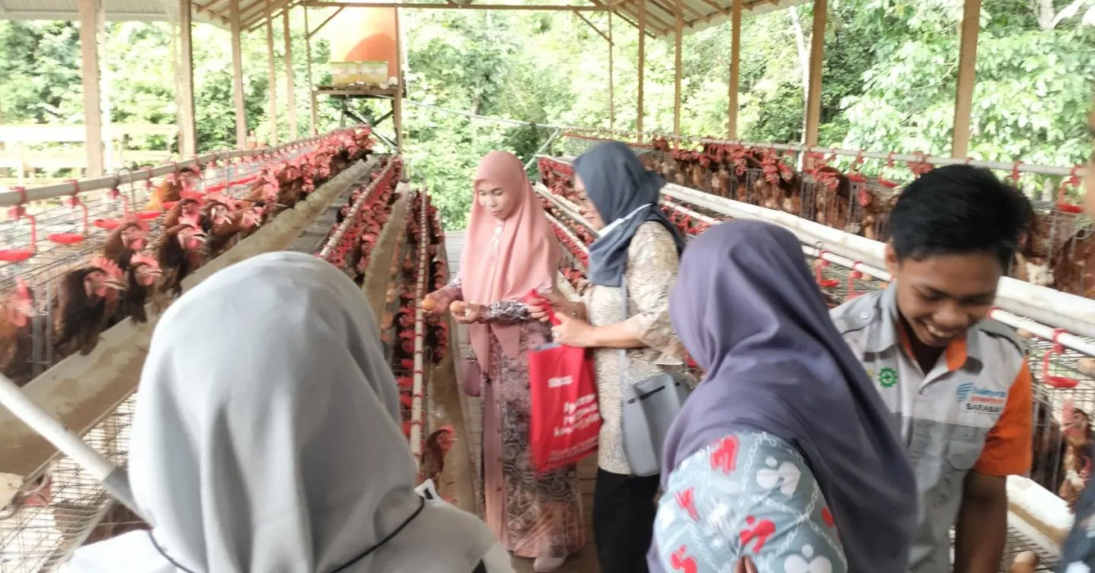 Study tiru dari Desa Ketapang Kecamatan Bakarangan ke Kampung KB Tirta Pare Bitahan Baru