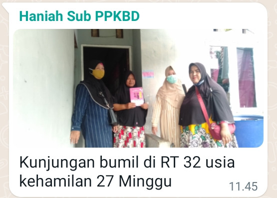 PENDAMPINGAN IBU HAMNIL OLEH KADER TPK