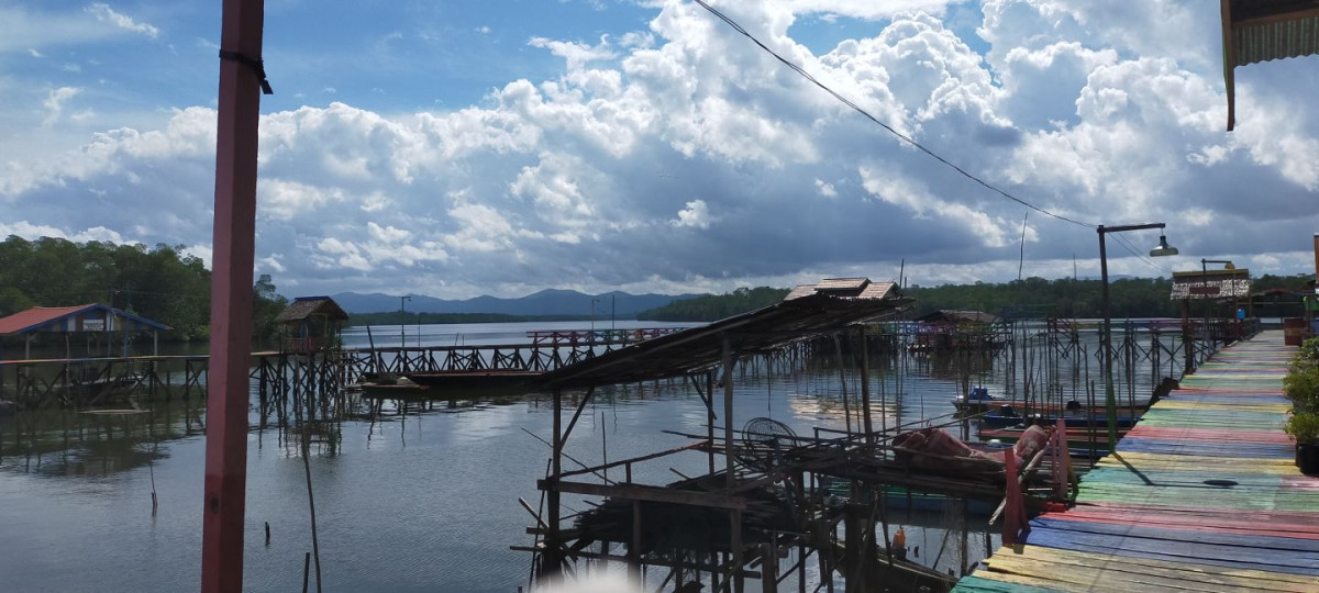 Sistem pembenihan ikan di kampung nelayan Kawasan Kampung Warna warni Desa Janju