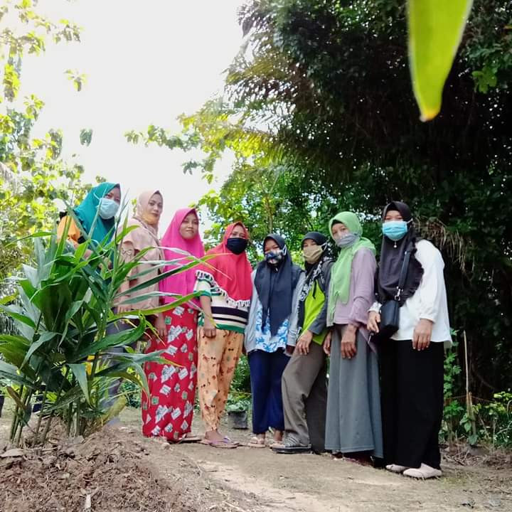 Kebun toga 4