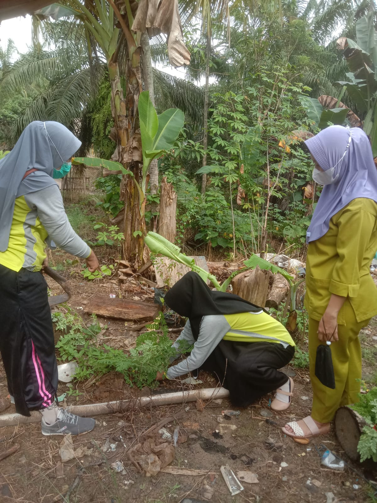 Kegiatan inovasi kampung KB dengan gerakan menanam pohon kelor satu pohon perumah (GerNamLor)
