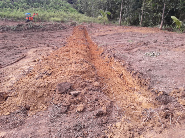 Pembukaan Lahan Kebun Kelor