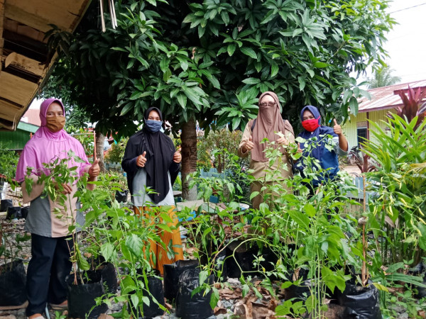 Pembagian Tanaman Cabe bagi Keluarga Lansia di Kampung KB Loa Tebu