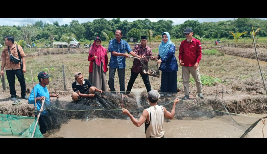 Menabur benih ikan