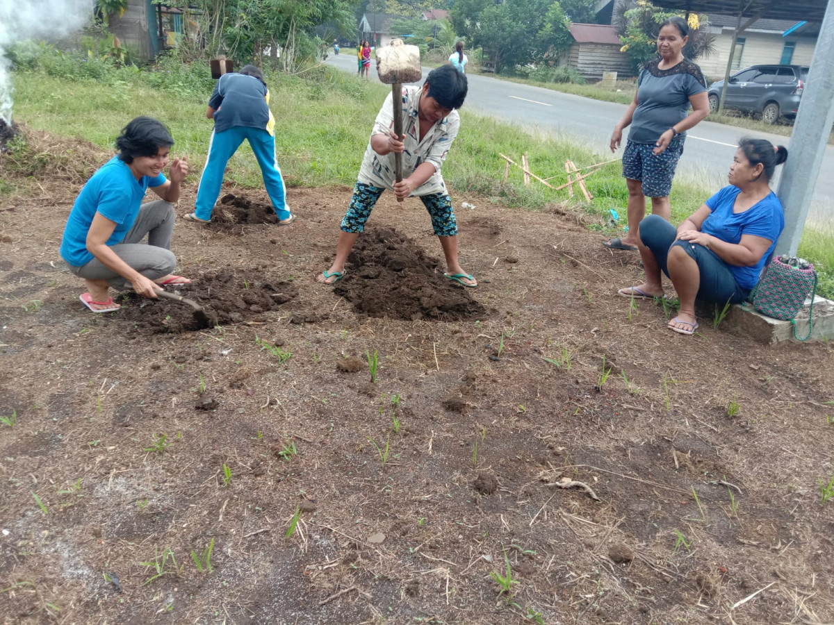 Kegiatan Berkebun (budidaya tanaman kangkung dan bayam) Kelompok Wanita Tani "Joleq Berkarya"