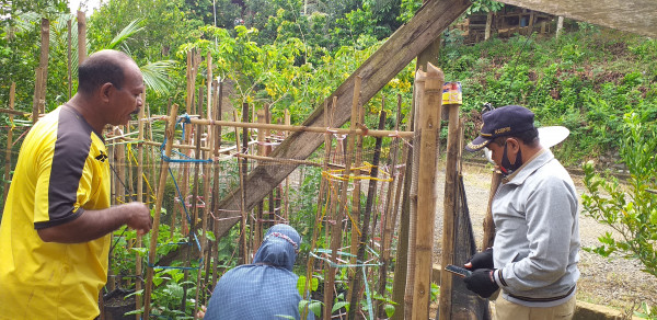Ketua Kampung KB, Penyuluh KB dan PPL memantau perkembangan tanaman sayuran di perkarangan warga