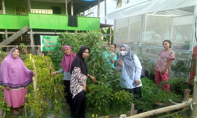 Kegiatan  di Green House Kelompok WanitaTani Kenanga Dusun Pepebulaeng Desa Tupabbiring
