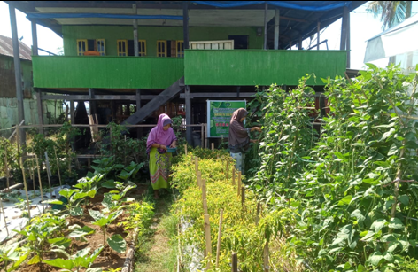Kegiatan  di Green House Kelompok WanitaTani Kenanga Dusun Pepebulaeng Desa Tupabbiring