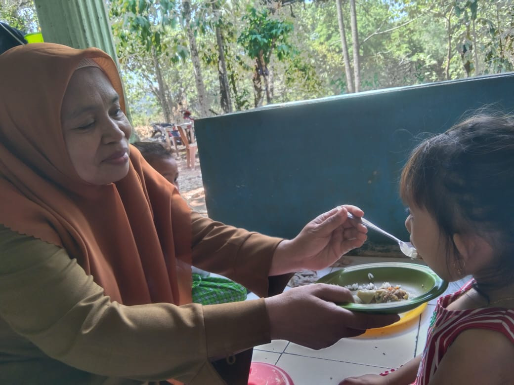 Pemberian makanan tambahan (PMT) pada balita