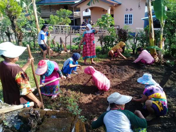 persiapan lahan untuk bercocok tanam sayuran kangkung,kacang panjang dan bayam 