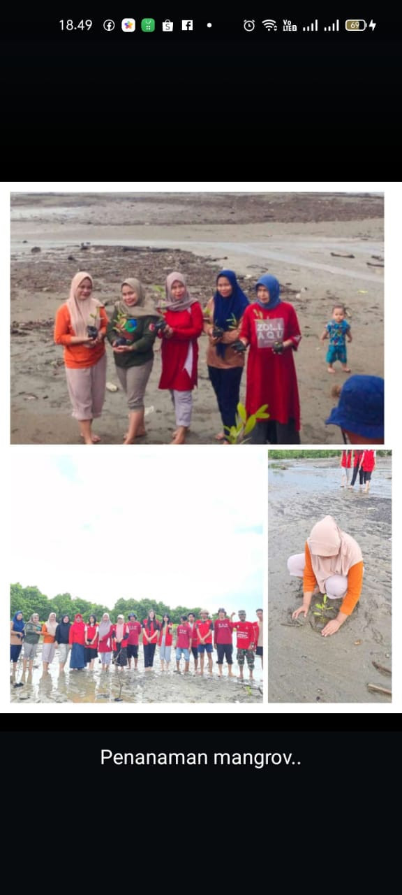 Penanama Tanaman Mangrove