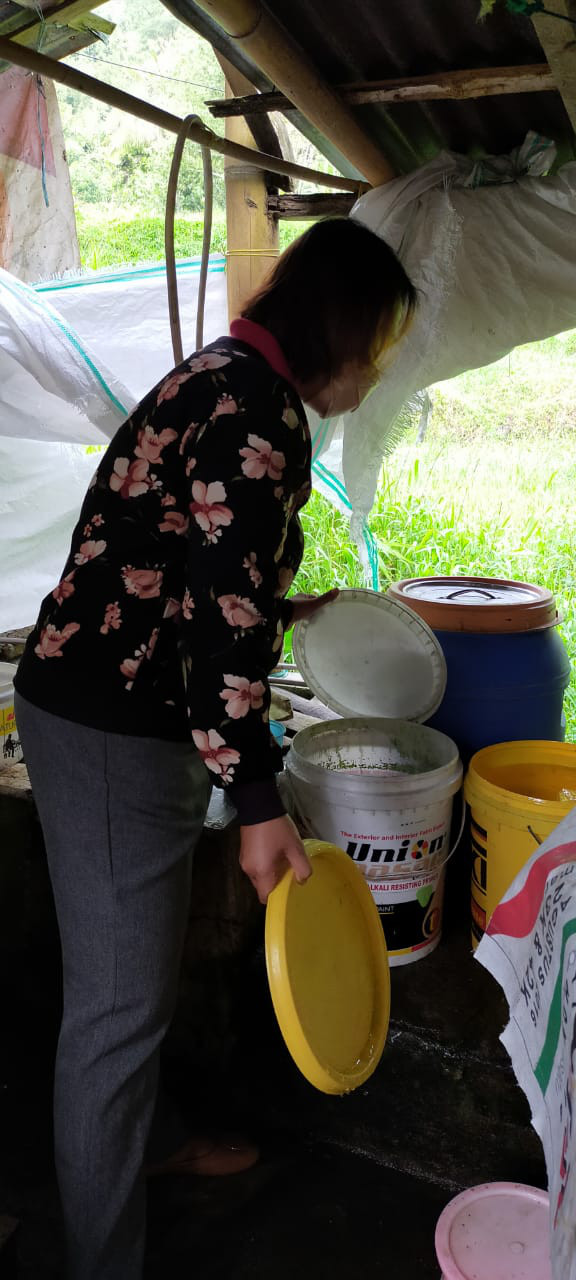 Pengamatan jentik nyamuk 