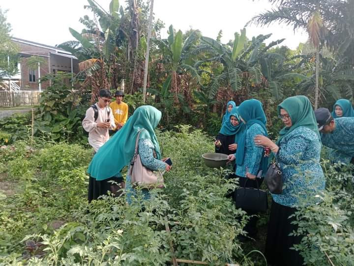 Memetik sayur langsung dari kebun DASHAT