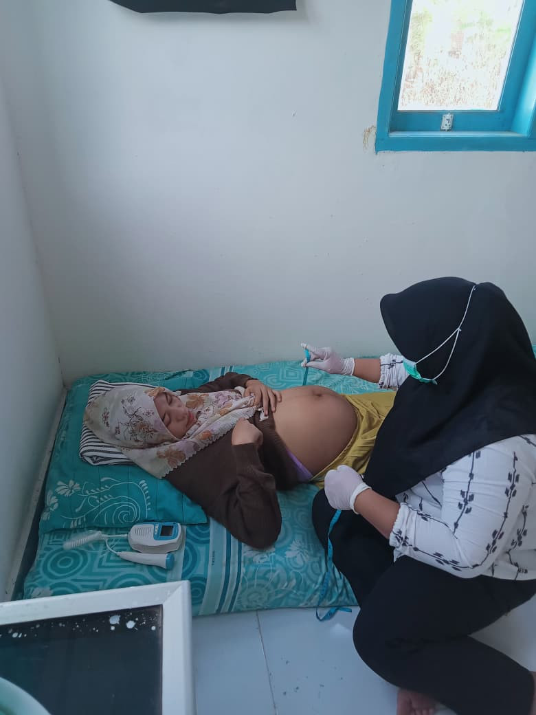 PEMERIKSAAN IBU HAMIL