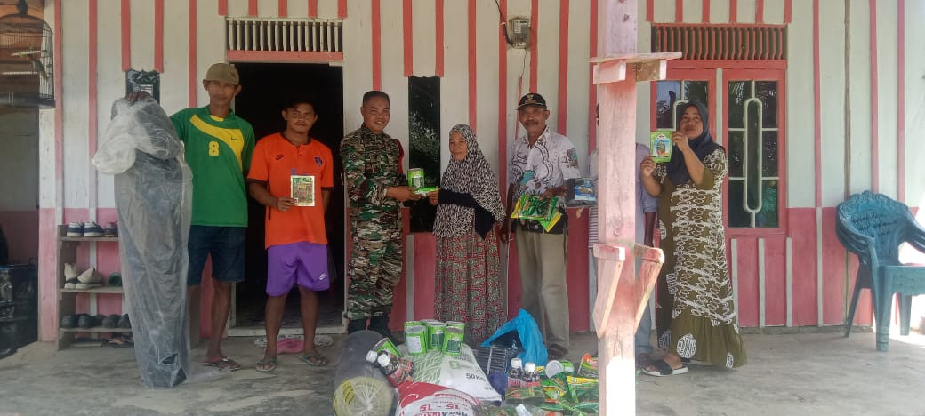 pemberian bantuan bibit sayur