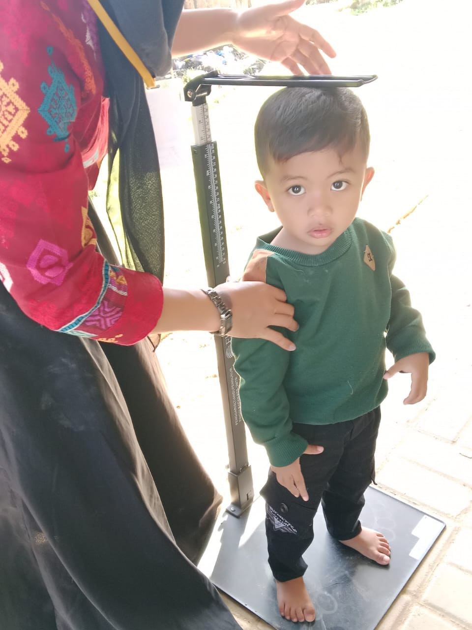 Pemantauan pertumbuhan dan perkembangan anak berusia di bawah lima tahun (balita).