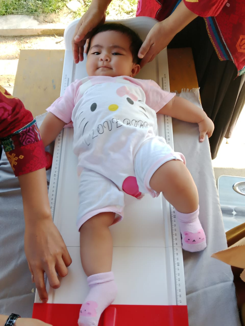 Pemantauan pertumbuhan dan perkembangan anak berusia di bawah lima tahun (balita).