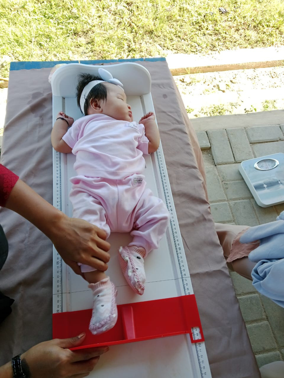 Pemantauan pertumbuhan dan perkembangan anak berusia di bawah lima tahun (balita).