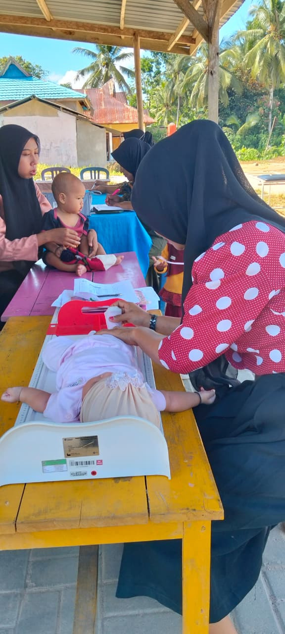 Pemantauan pertumbuhan dan perkembangan anak berusia di bawah lima tahun (balita).