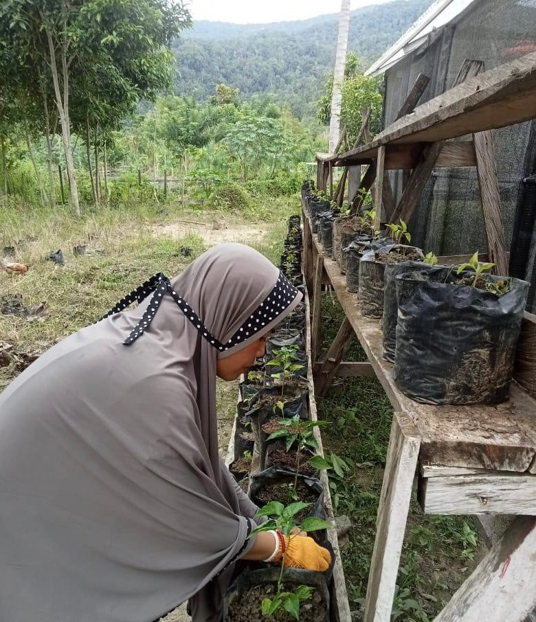 Kelompok Wanita Tani