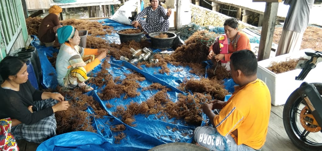 Meningkatkan UPPKA di kamoung keluarga berkualitas desa latawe