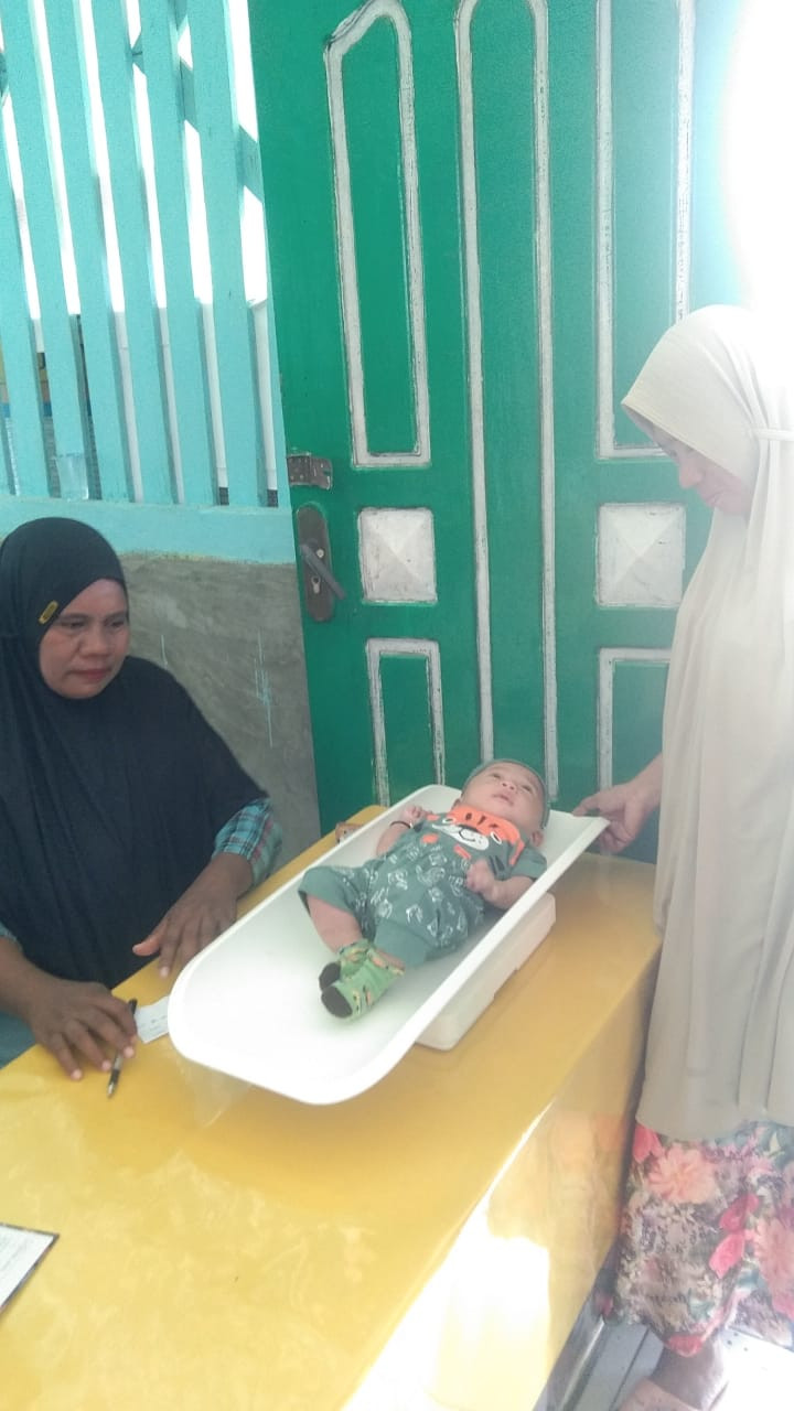 Penimbangan Berat badan bayi di posyandu