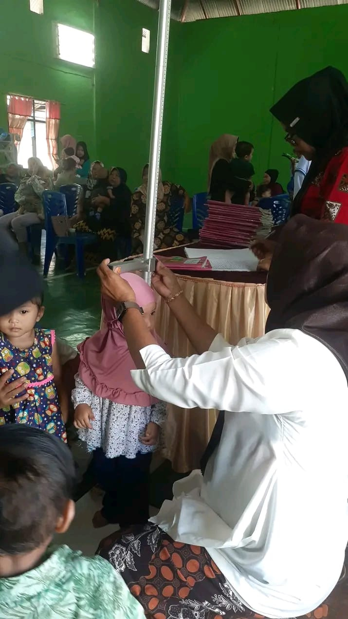 Posyandu Bayi Balita, Ibu hamil dan Lansia