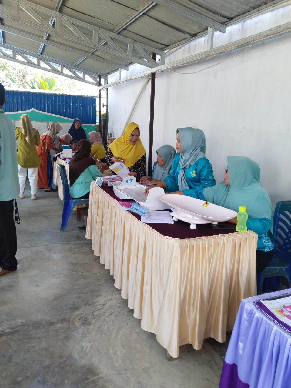 Posyandu Bayi Balita, Ibu hamil dan Lansia