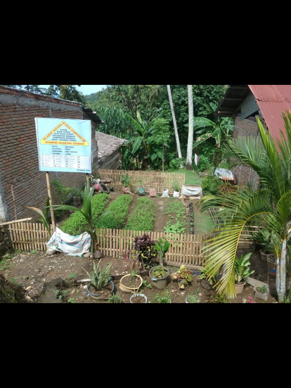 Pembenahan pekarangan rumah ( persiapan lomba kegiatan pkk dikampung kb )