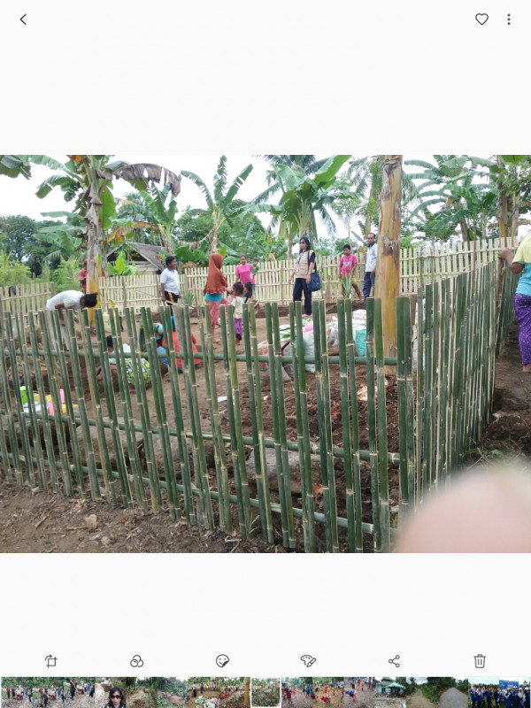 Pembinaan pemanfaatan lahan kebun dalam rangka lomba tingkat provinsi