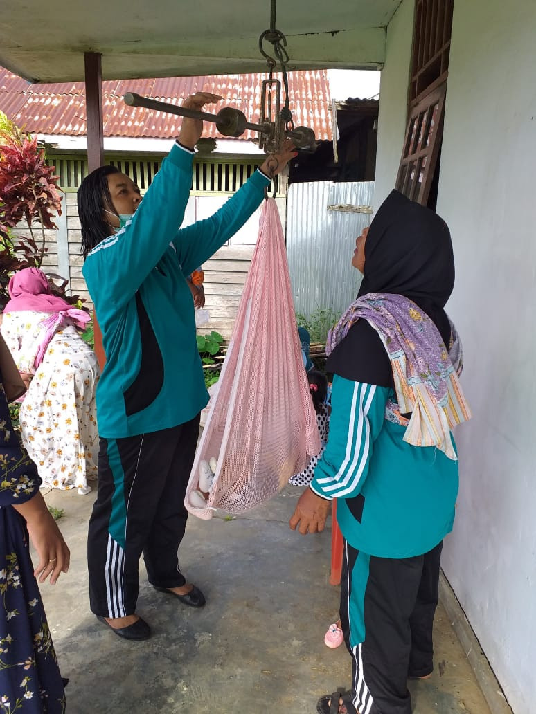 Posyandu Bina Keluarga Balita ( BKB )