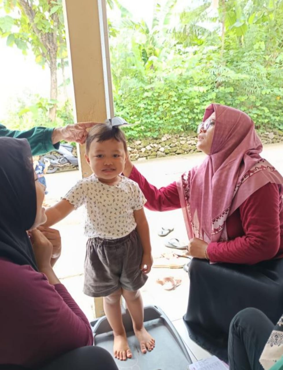 Posyandu Bina Keluarga Balita ( BKB )